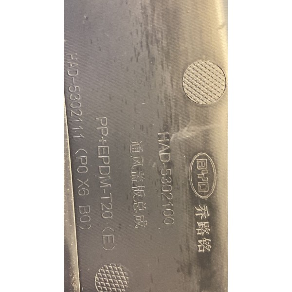 Grade Churrasqueira - Byd King 2025 Hibrid