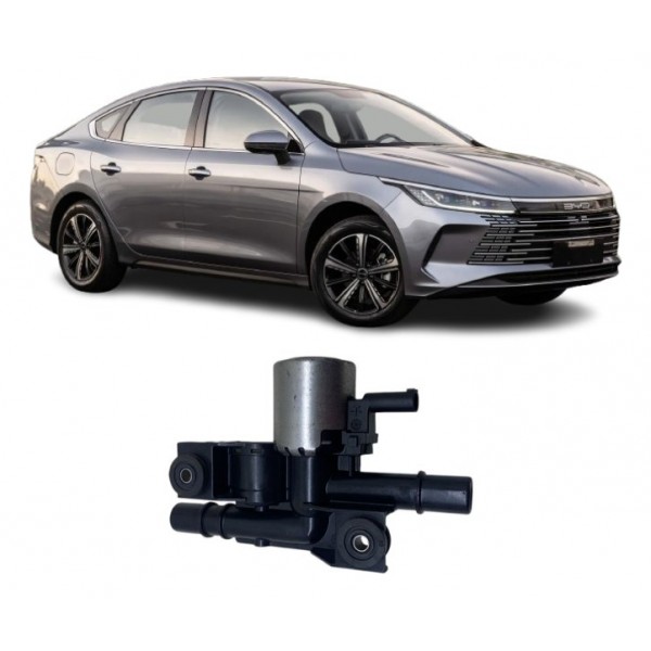 Bomba De Água Auxiliar Bateria - Byd King 2025 Hibrid