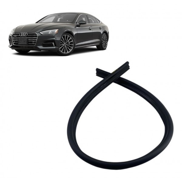 Borracha Vedação Capo - Audi A5 Sportback 2019 Preto Preto