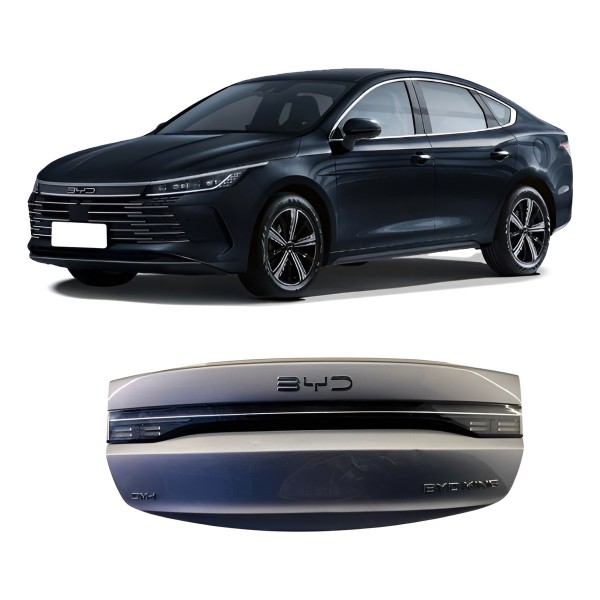 Tampa Traseira - Byd King 2025 Prateado Prateado