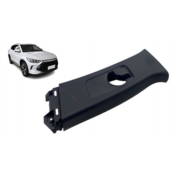 Moldura Coluna Interna ( Diant Dir ) - Byd Song Plus 2024 Dm