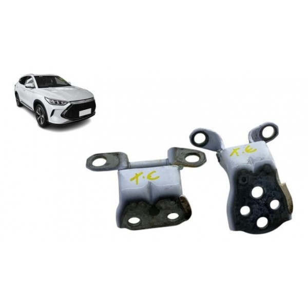 Par Dobradiça De Porta ( Tras Esq ) - Byd Song Plus 2024 Dm-