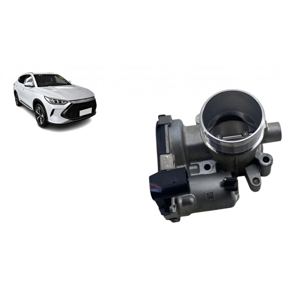 Tbi Corpo De Borboleta - Byd Song Plus 2024 Dm-i ( Detalhe )