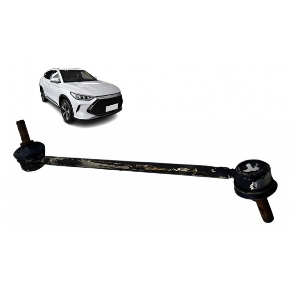 Bieleta ( Traseira Esquerda ) - Byd Song Plus 2024