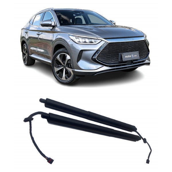 Par Amortecedores Elétricos Porta-malas - Byd Song Plus 24