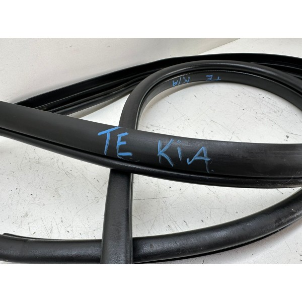 Borracha De Porta Traseira Esquerda Kia Optima 2013 3290