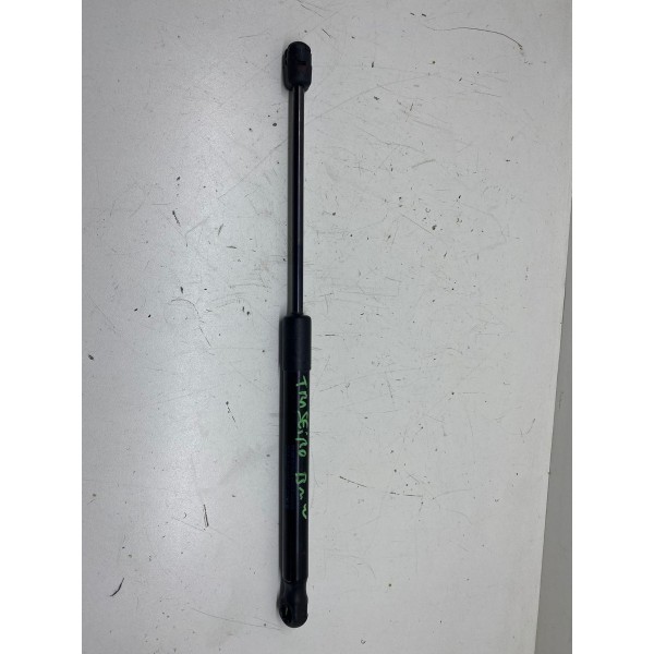 Amortecedor Tampa Traseira Bmw 320i 2013 2095