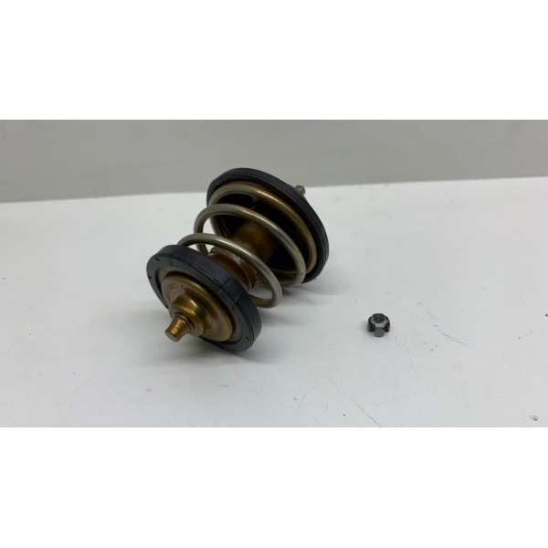 Válvula Termostática Vw Passat 2012 840