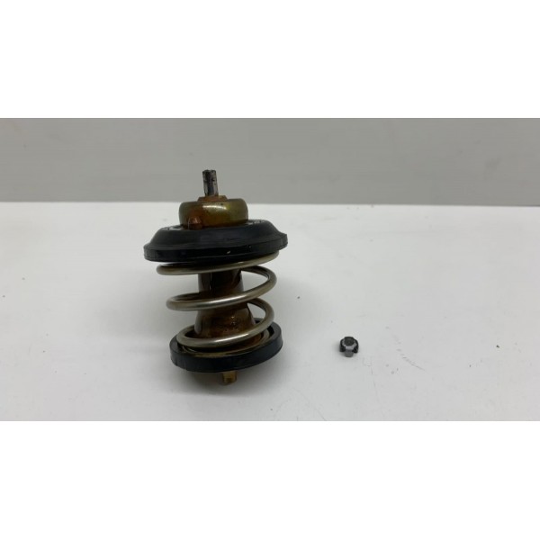 Válvula Termostática Vw Passat 2012 840