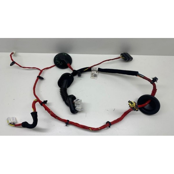 Chicote Porta Traseira Esquerda Hyundai Elantra 2018 605