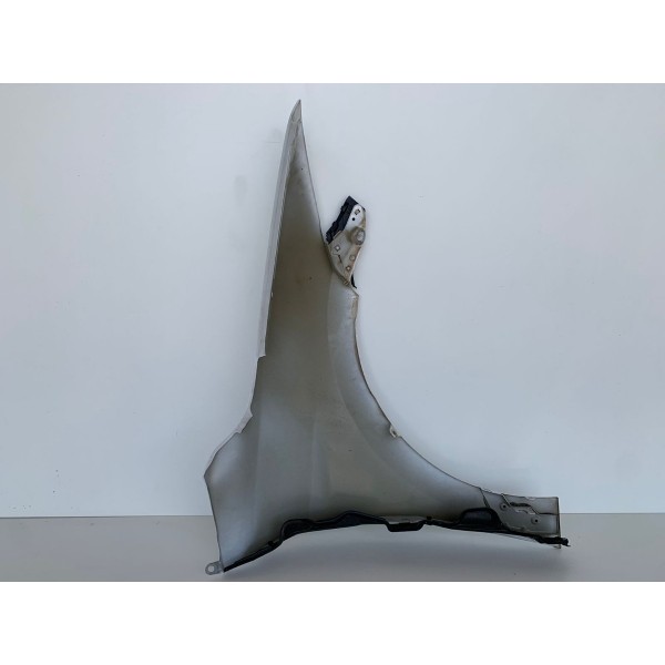 Paralama Lado Esquerdo Hyundai Elantra 2018 Liso