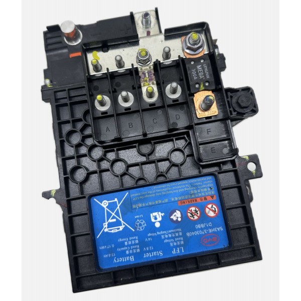 Bateria Partida Original Byd Song Plus 2024