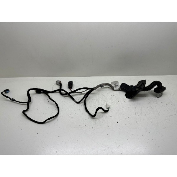 Chicote Porta Traseira Direita Dodge Journey 2013 3966
