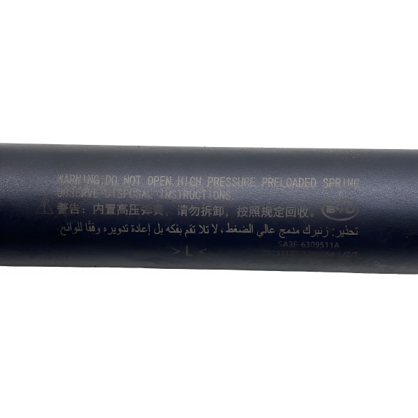 Amortecedores Elétricos Porta Malas - Song Plus Sa3f6309511a