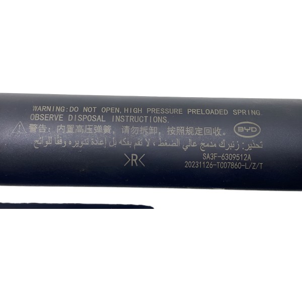 Par Amortecedores Elétricos Porta-malas -  Byd Song Plus 24